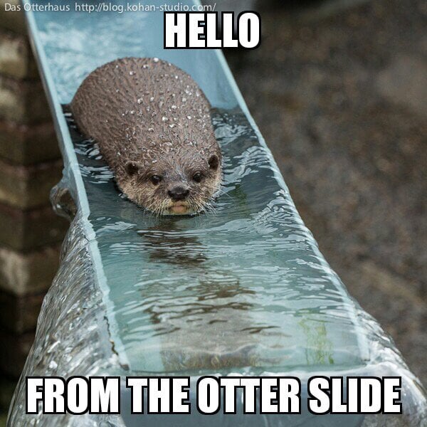 Otter slide
